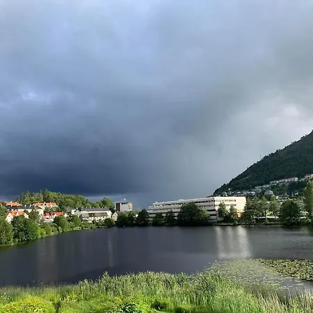 Bergen's Finest: Sleek Oasis With Two Bedroom 公寓 *